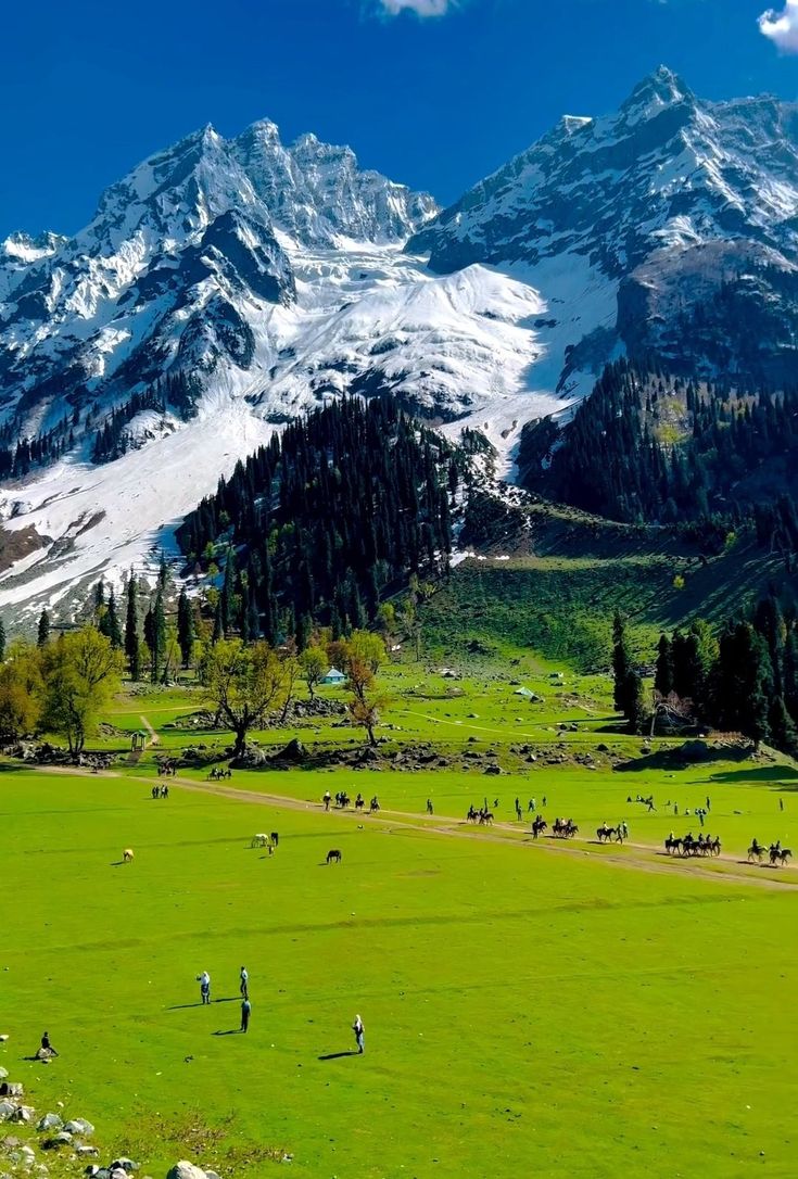 Kashmir